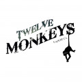 TWELVE MONKEYS