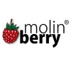 MOLLIN BERRY FLAVOURS